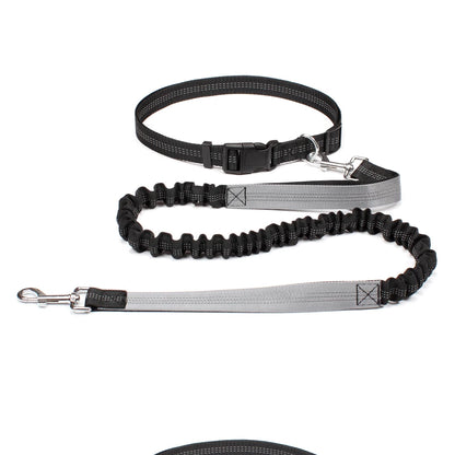 Hands-Free Shock-Absorbing Dog Leash with Waist Belt