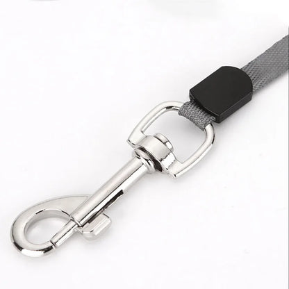 Retractable Lead for Small Dog