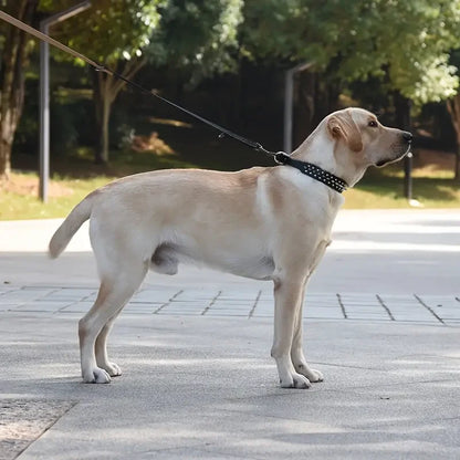 Spiked Dog Collar And Leash Set