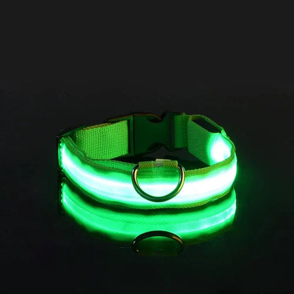 Nylon LED Night Safety Flashing Glow-in-the-Dark Dog Collar 🌟🐶