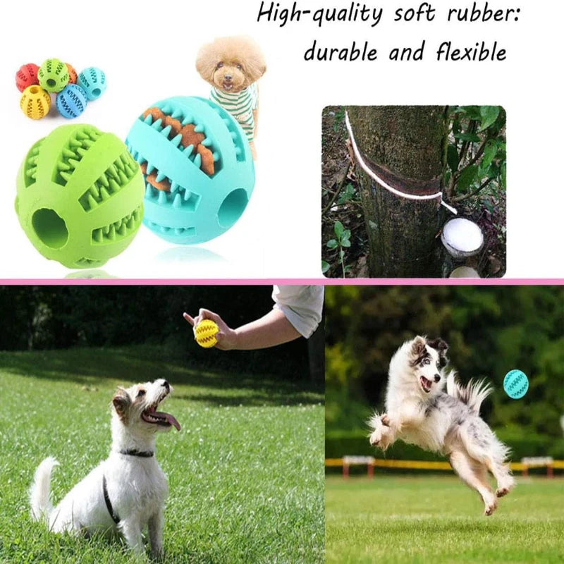 Treat & Chew Ball