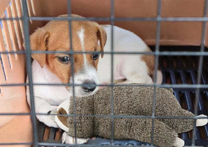 Murphy SnuggleSloth™