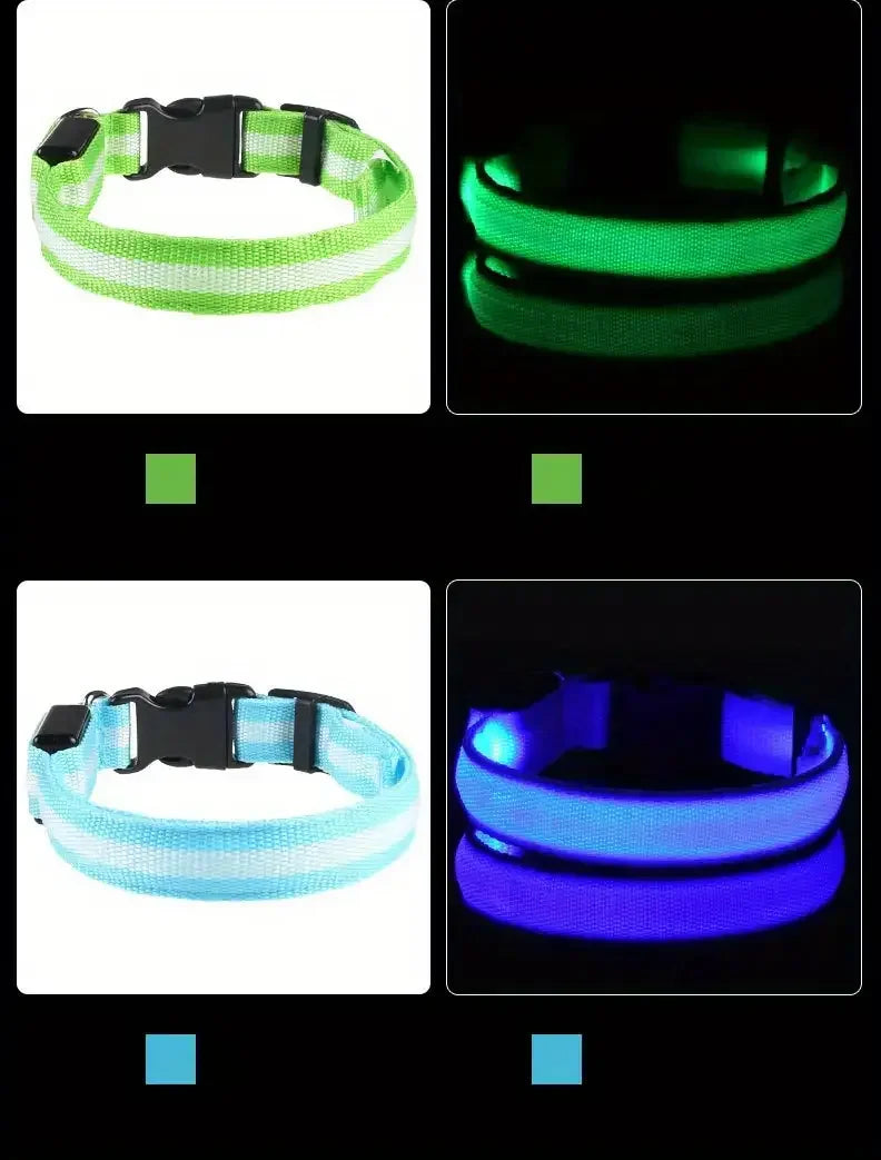 Nylon LED Night Safety Flashing Glow-in-the-Dark Dog Collar 🌟🐶