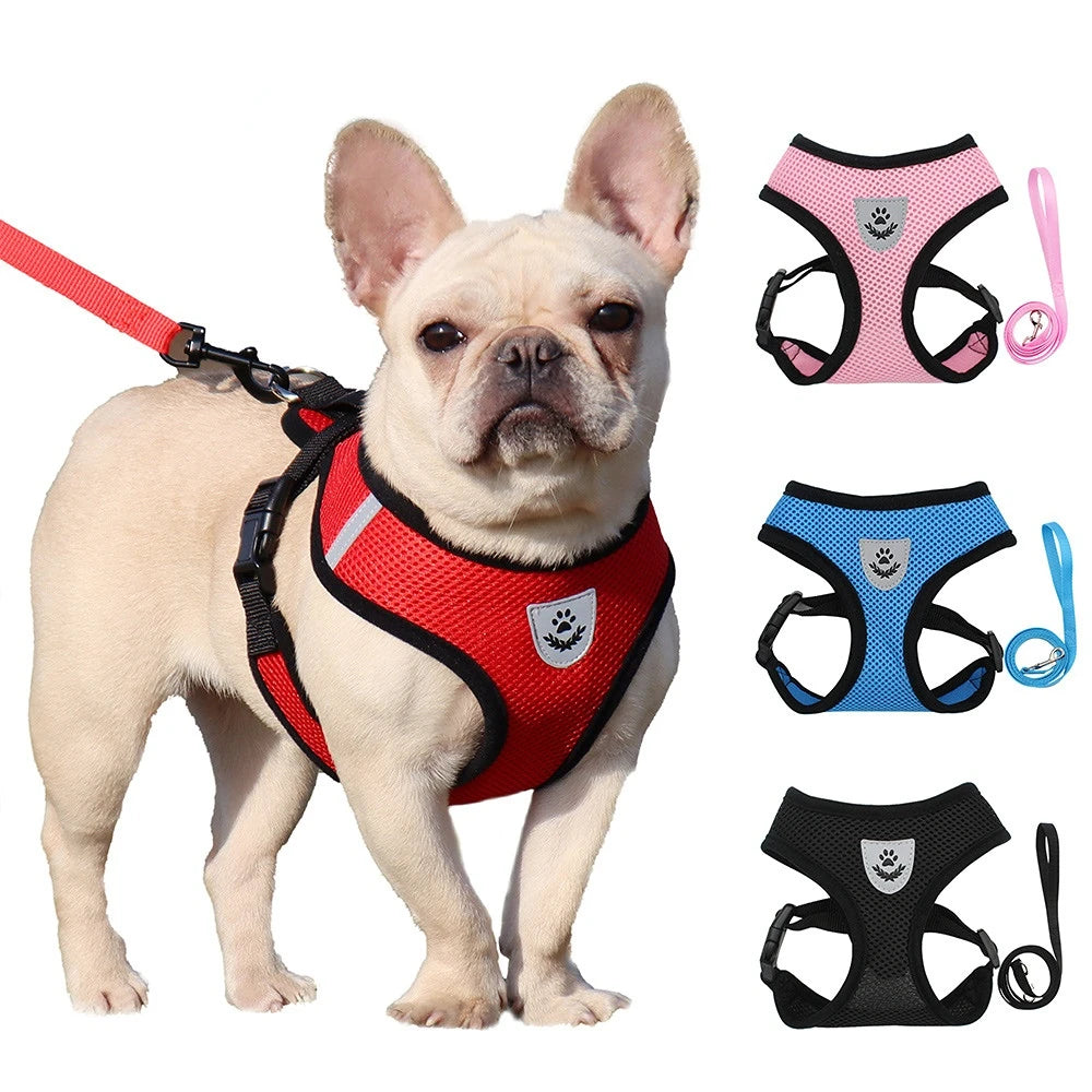 Adjustable Pet Harness w/ Leash - Small Dogs & Cats