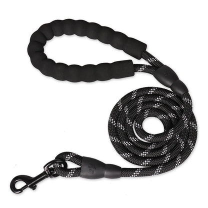 Bungee Leash