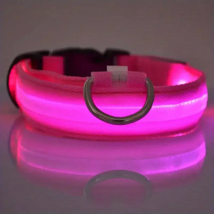 Nylon LED Night Safety Flashing Glow-in-the-Dark Dog Collar 🌟🐶