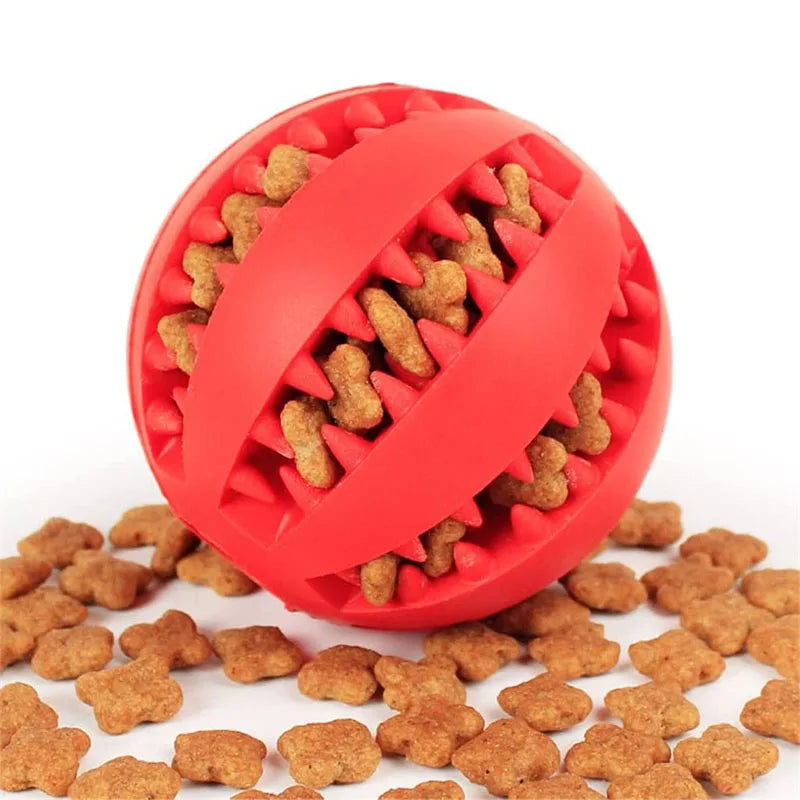 Treat & Chew Ball