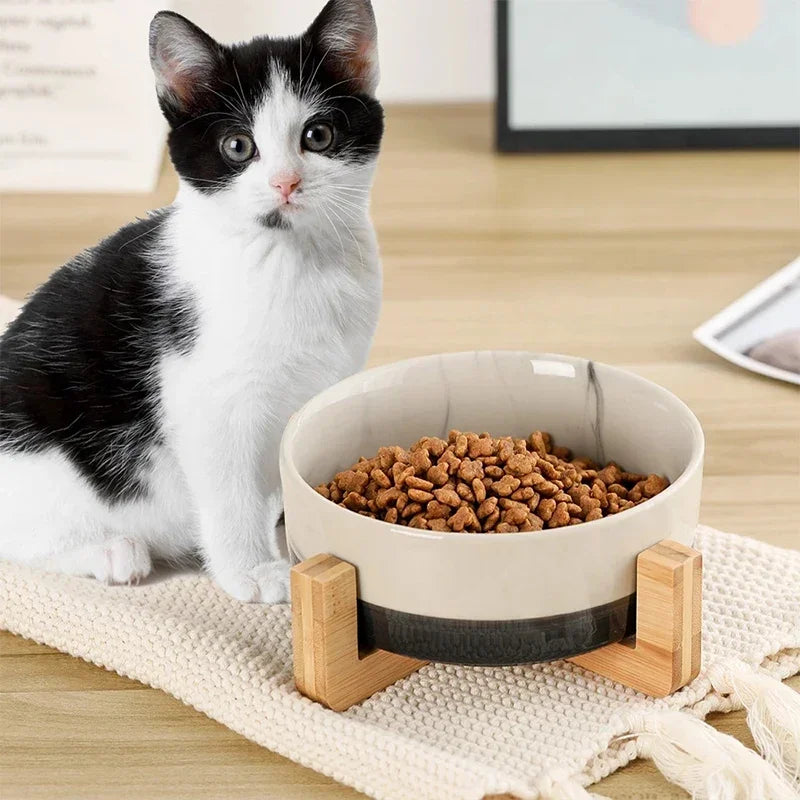 Aesthetic Ceramic Pet Bowl