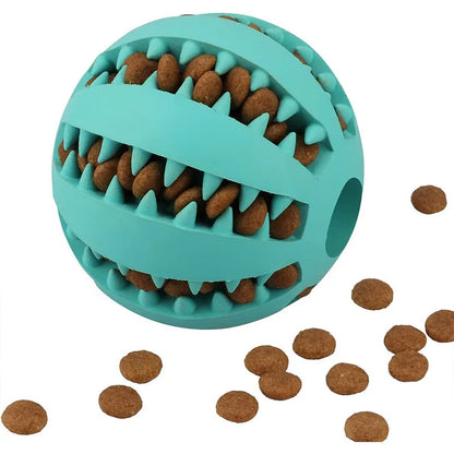 Treat & Chew Ball