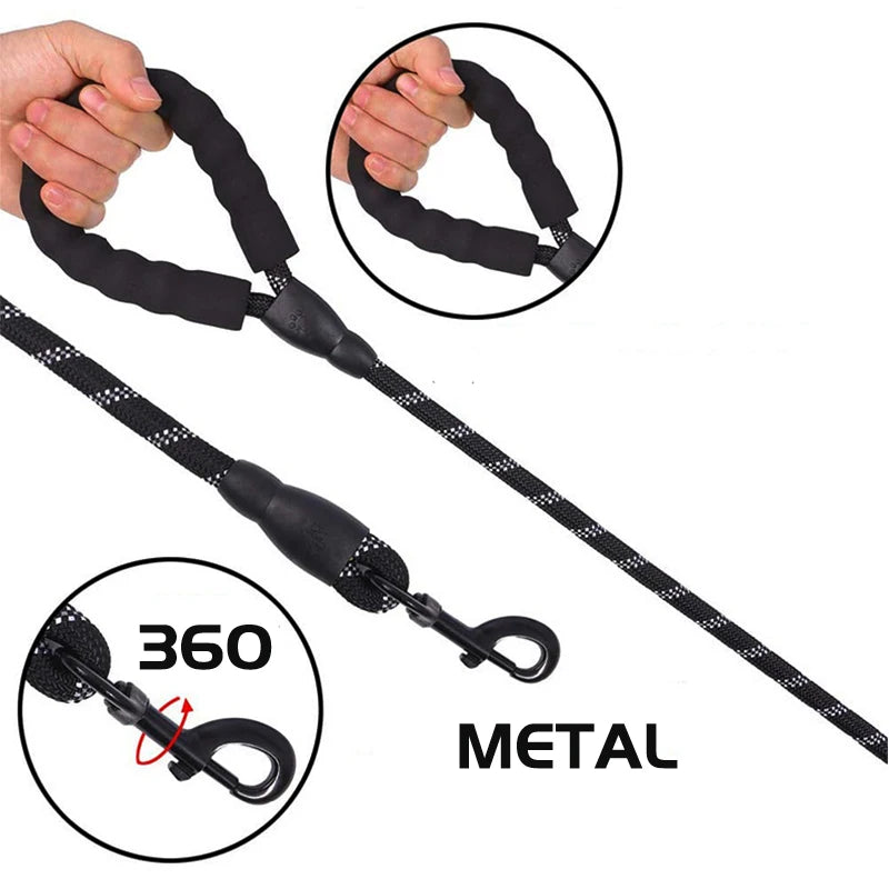 Bungee Leash