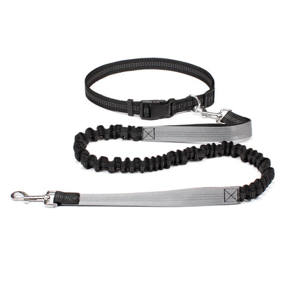 Hands-Free Shock-Absorbing Dog Leash with Waist Belt