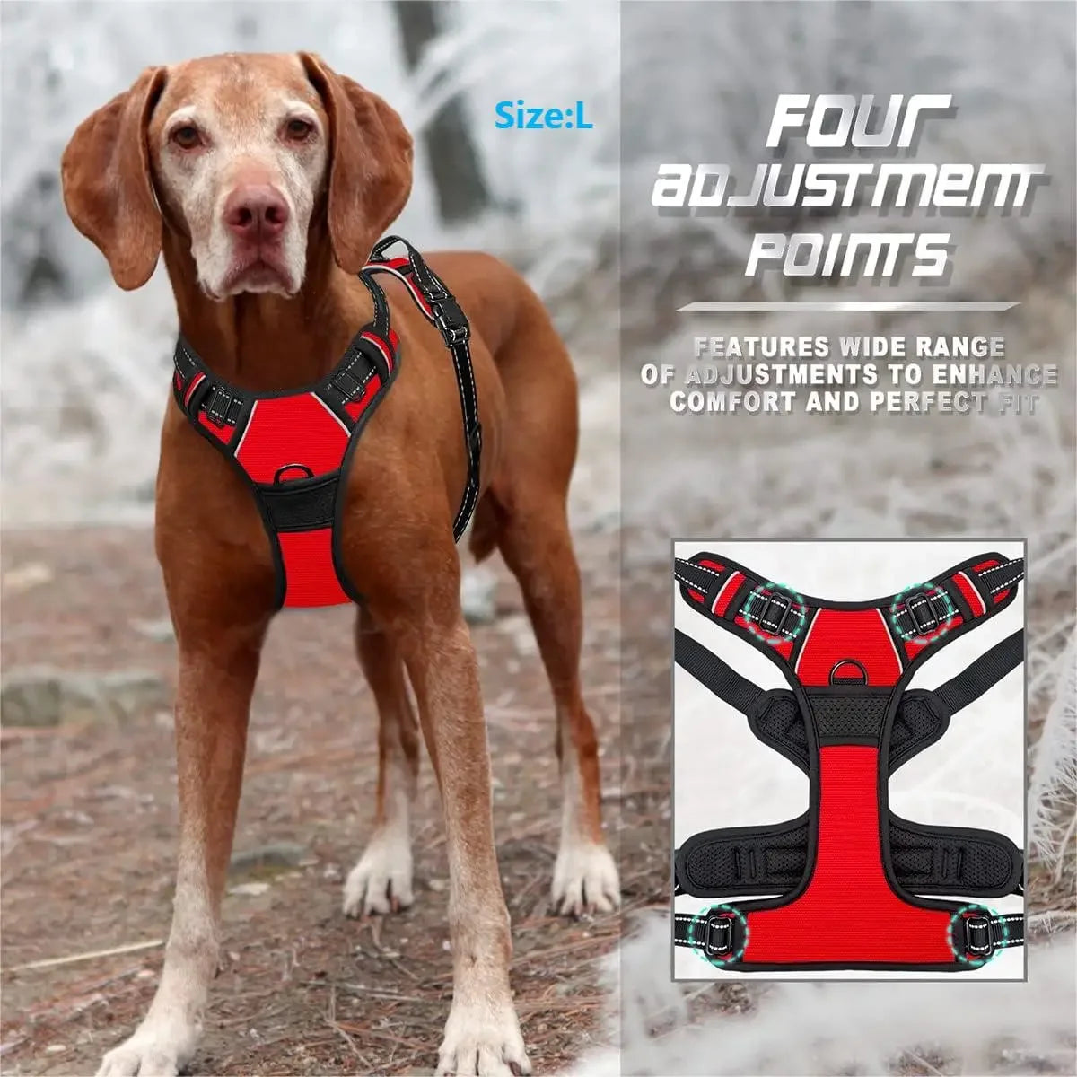 Heavy Duty No Pull Dog Harness with Front Clip - LARGE & small Dogs