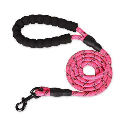 Bungee Leash