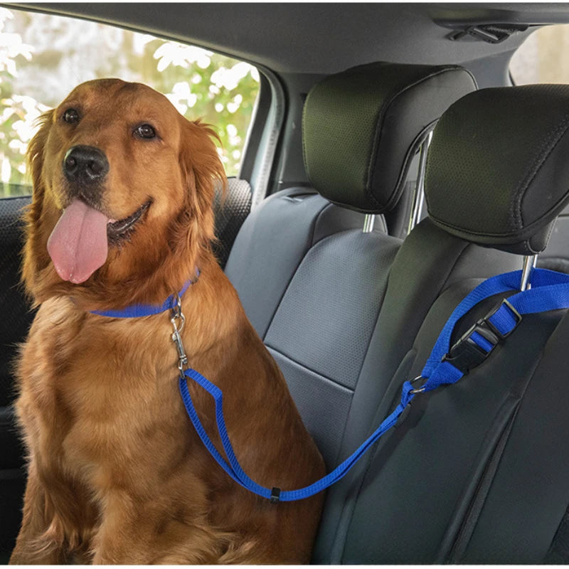 2-in-1 Adjustable Pet Car Seat Belt & Leash