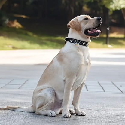 Spiked Dog Collar And Leash Set