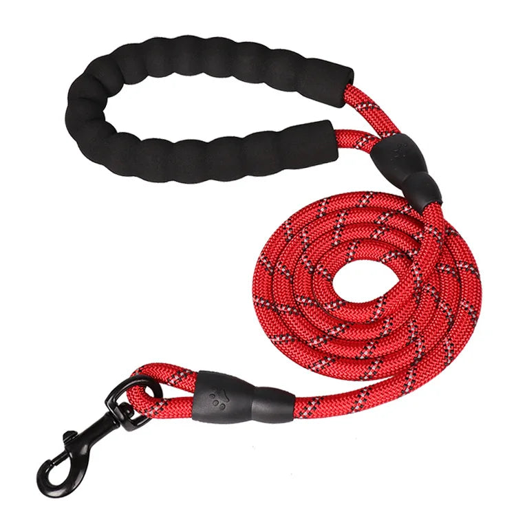 Bungee Leash