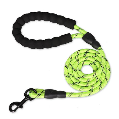 Bungee Leash