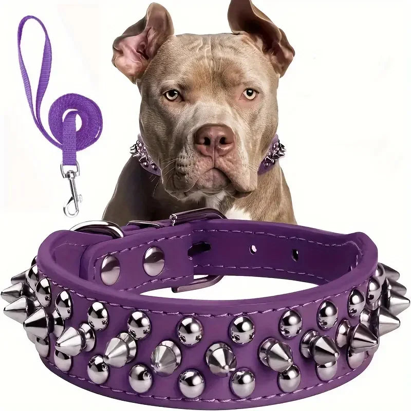 Spiked Dog Collar And Leash Set