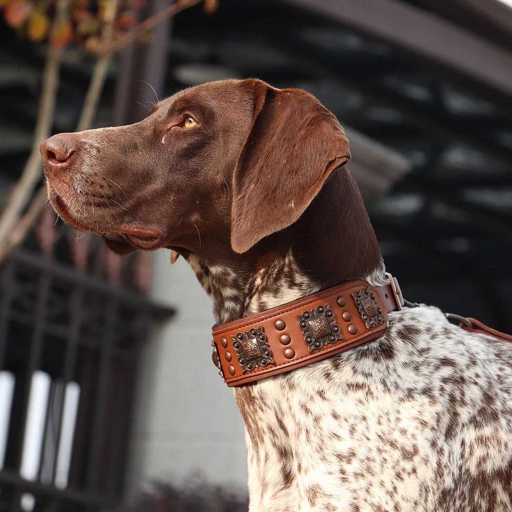 Luxury Leather Dog Collar - Medium to Large Dogs