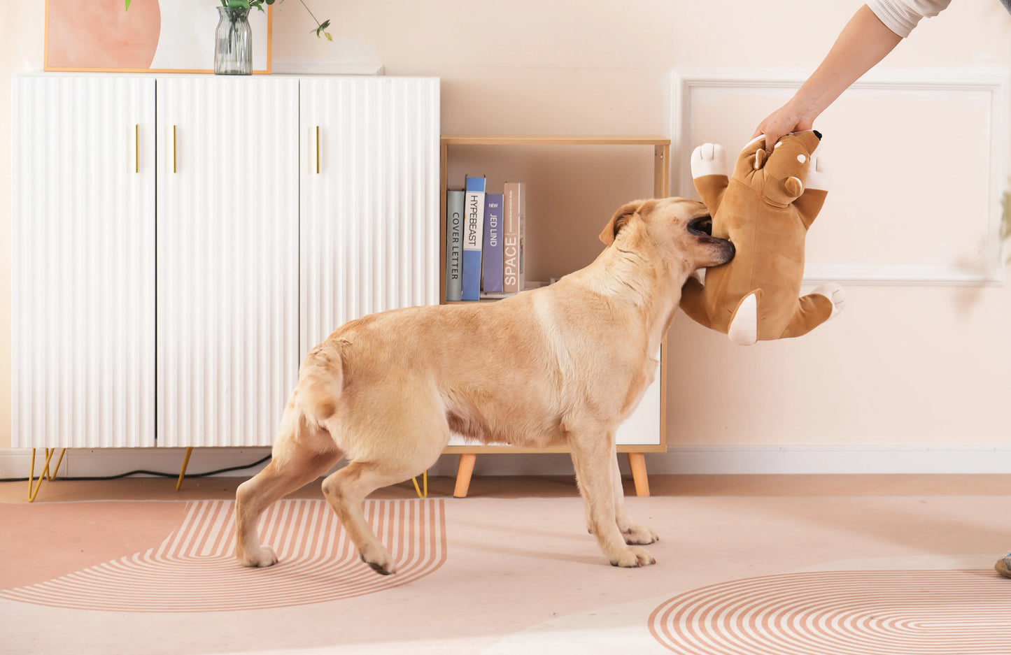 Murphy SnuggleAkita™