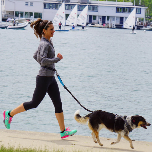 Hands-Free Shock-Absorbing Dog Leash with Waist Belt