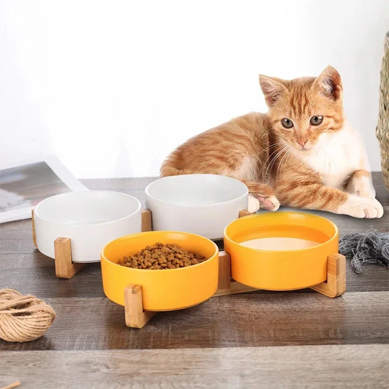 Aesthetic Ceramic Pet Bowl