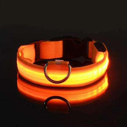 Nylon LED Night Safety Flashing Glow-in-the-Dark Dog Collar 🌟🐶