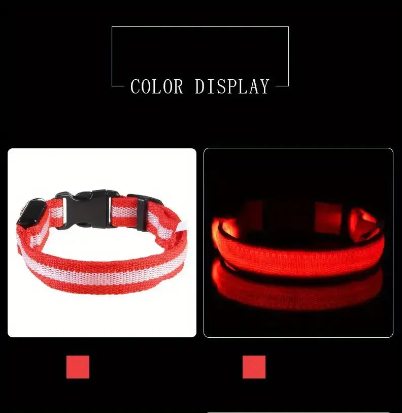 Nylon LED Night Safety Flashing Glow-in-the-Dark Dog Collar 🌟🐶