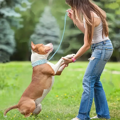 Spiked Dog Collar And Leash Set