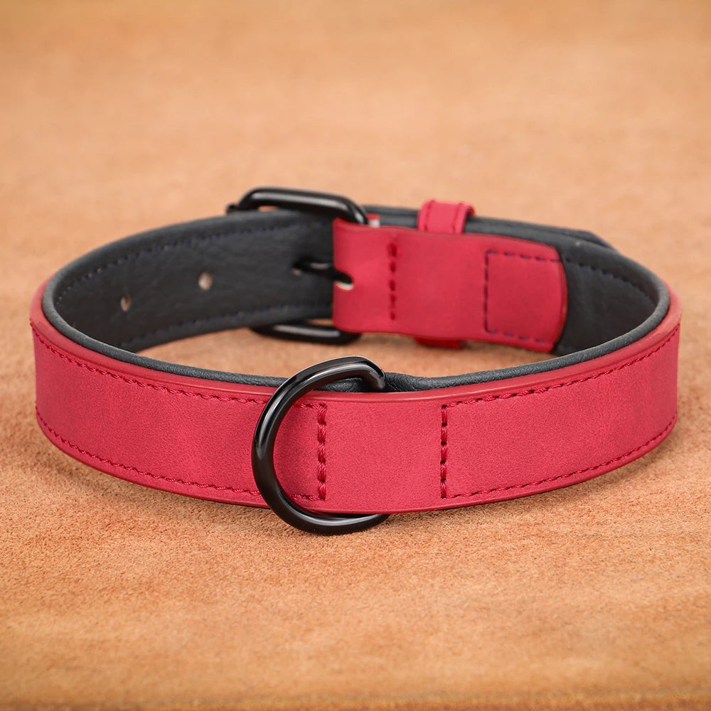 Leather Dog Collar