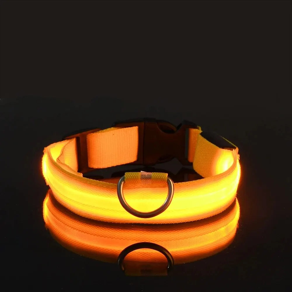 Nylon LED Night Safety Flashing Glow-in-the-Dark Dog Collar 🌟🐶