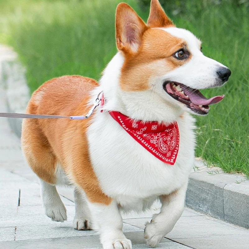 Adjustable Pet Bandana Collar