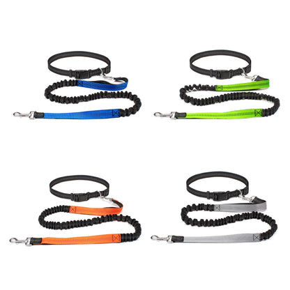 Hands-Free Shock-Absorbing Dog Leash with Waist Belt