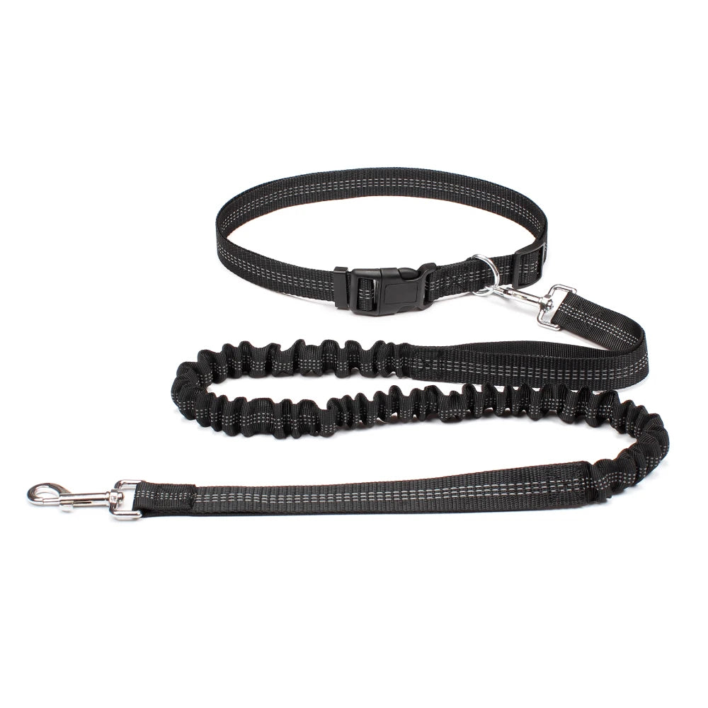 Hands-Free Shock-Absorbing Dog Leash with Waist Belt