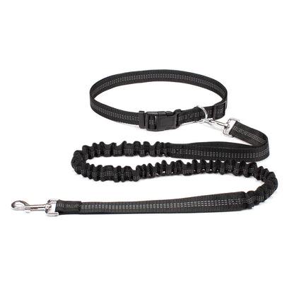 Hands-Free Shock-Absorbing Dog Leash with Waist Belt