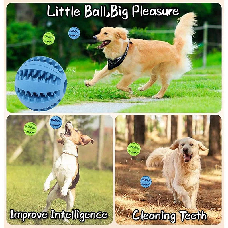 Treat & Chew Ball